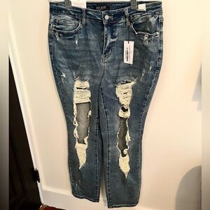 Judy Blue Straight Shooter Jeans
